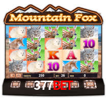 377bet.com